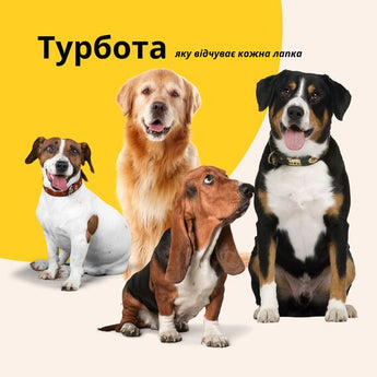Лежанка-матрац XL 80×120 см для собак і котів