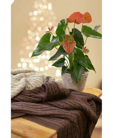 В'язаний плед коси SOFT  мокко ПРОВАНС, 90х130см 011692