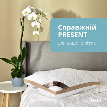 Подушка PRESENT з дихаючим бортом ТМ IDEIA 50х70 см білий/беж 