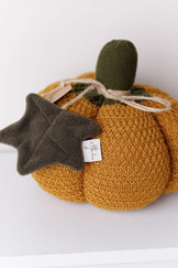 Декоративний виріб Pumpkin охра ПРОВАНС, D25см 040270