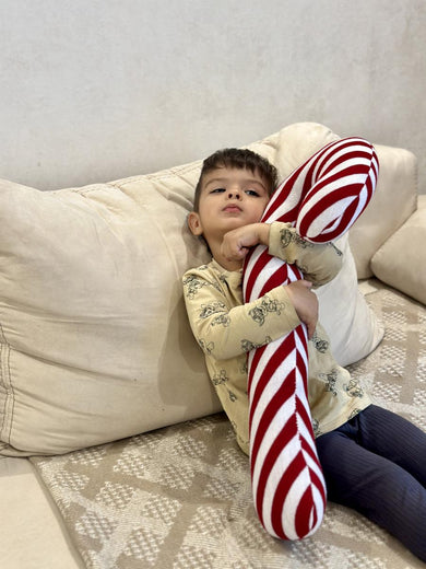 Декоративна подушка Тростина ПРОВАНС, 60х12 см 038425