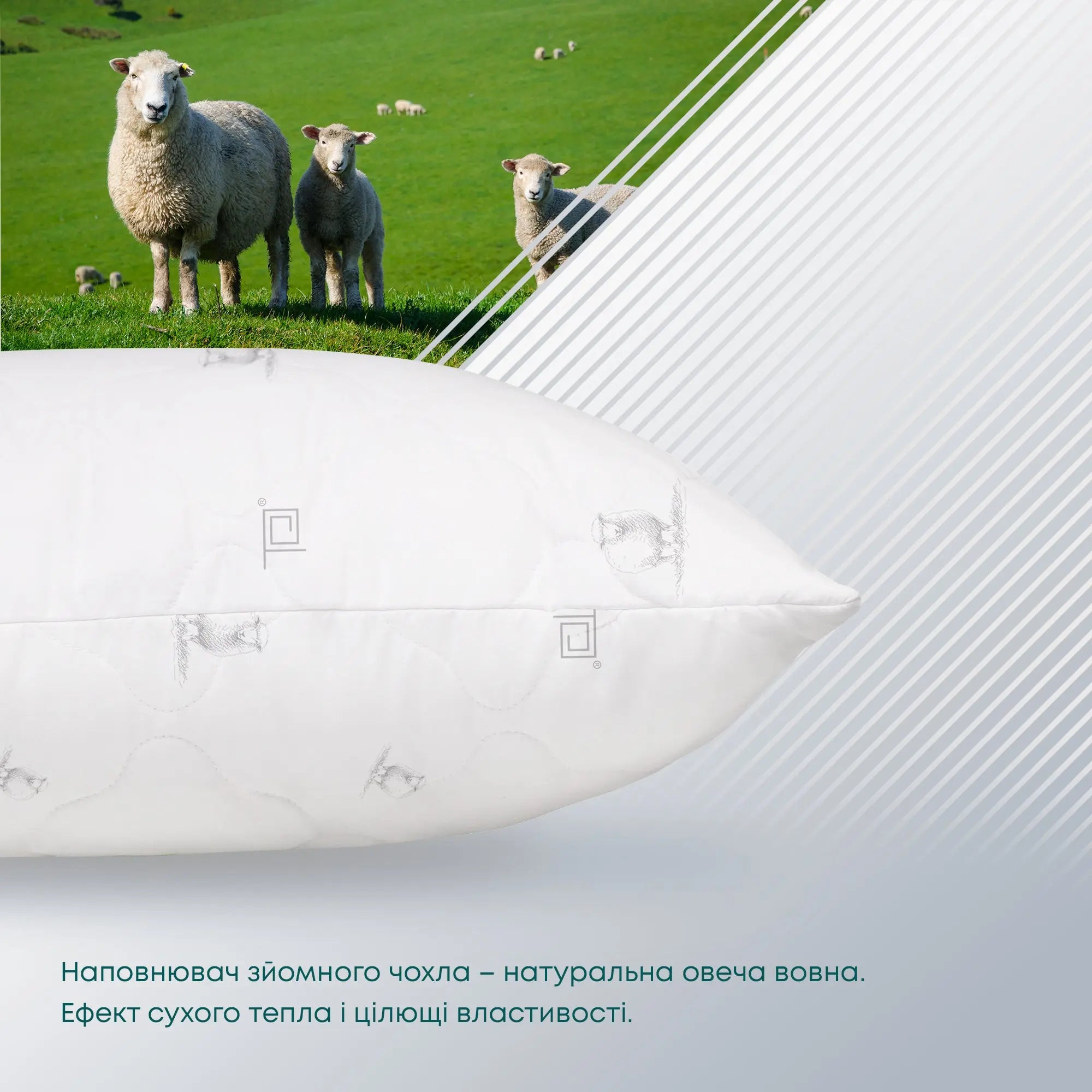 Подушка ПРИРОДА "MEMBRANA PRINT" PURE WOOL 70*70 см 