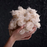Подушка "COTE BLANC" Kapok 40*60 см 
